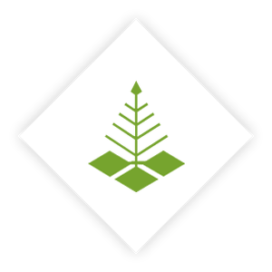 Logo: Gemeinde Schleife 