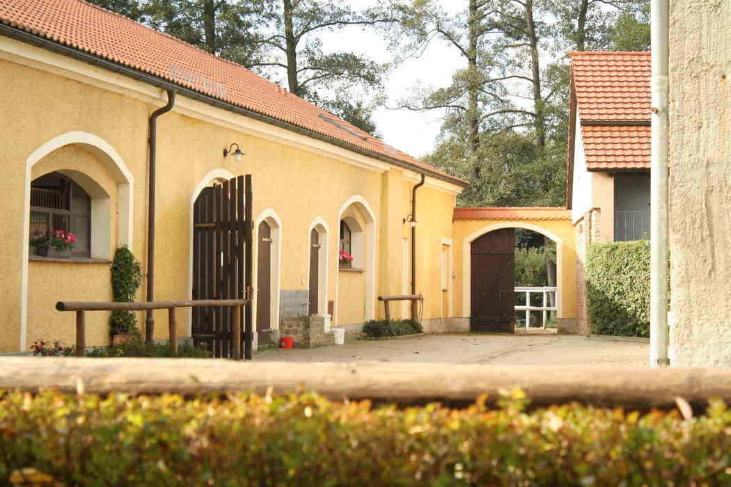 Bild zur Stelle FÖJ beim Reit- und Fahrverein "Wehrkirch" Horka e.V. (m/w/d)