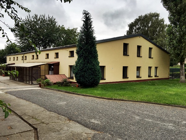 Bild zur Stelle FÖJ im Tierheim Bautzen Bloaschütz (m/w/d)