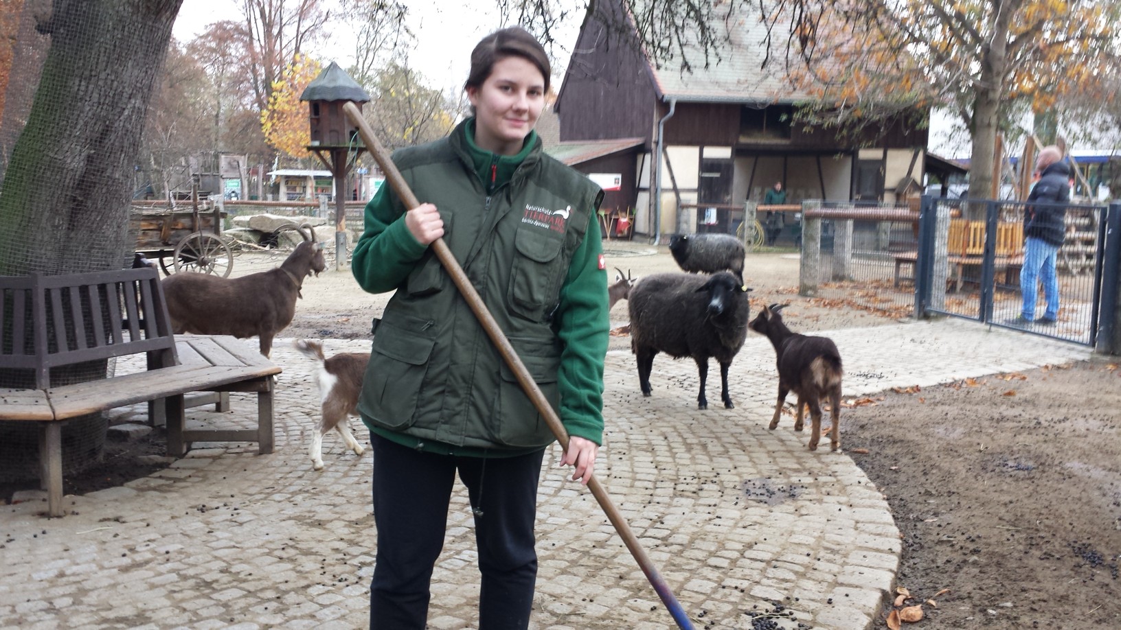 Bild zur Stelle FÖJ im Naturschutztierpark Görlitz - Bereich Tierpflege