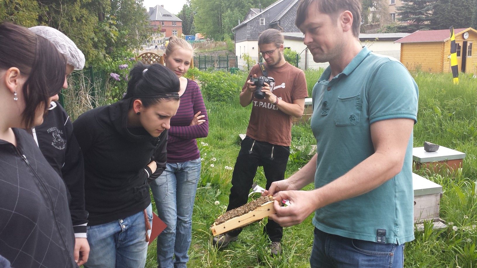 Bild zur Stelle FÖJ auf der Bienenweide des Lebens(t)räume e.V. Neugersdorf (m/w/d)
